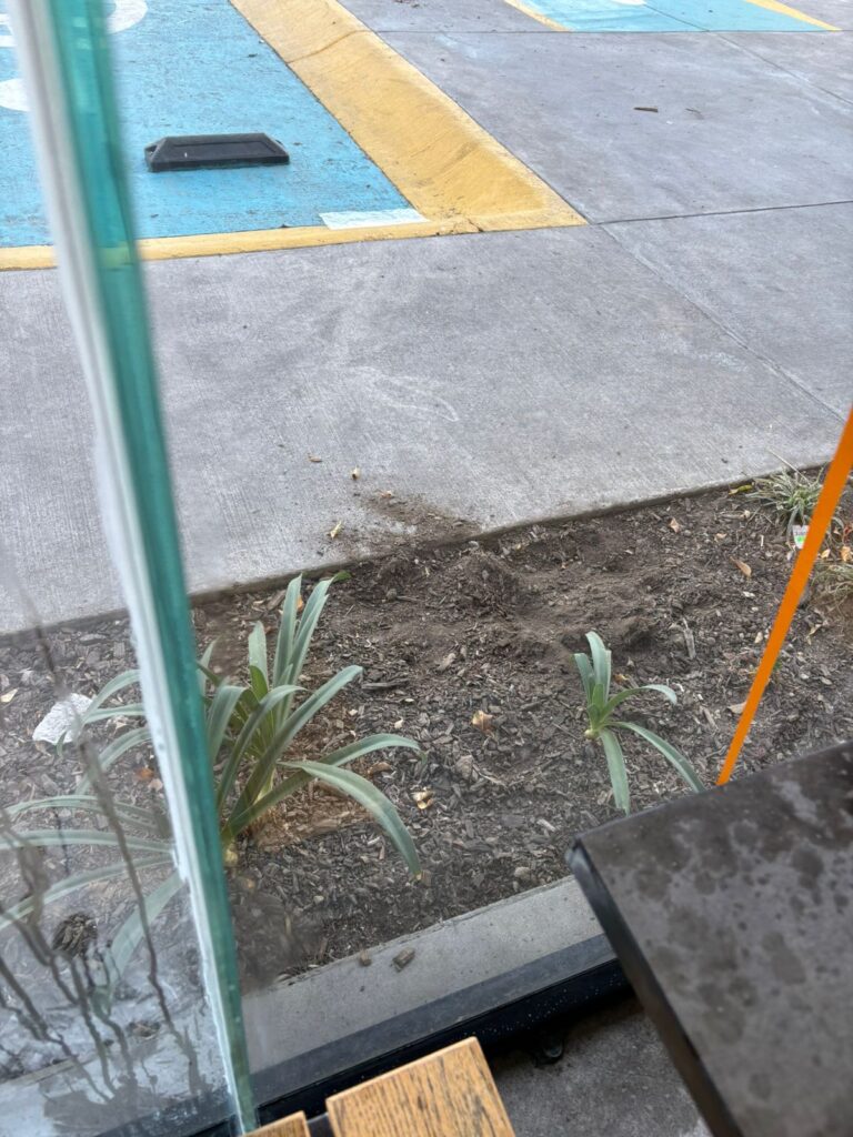 limpieza profesional de cristales de restaurantes